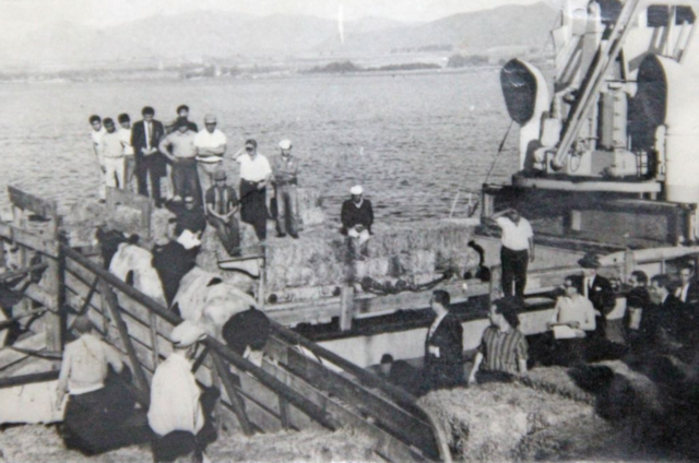 Exportaciones Mexicanas