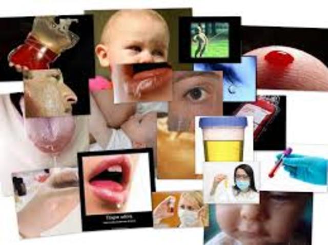 Institucionalizacion