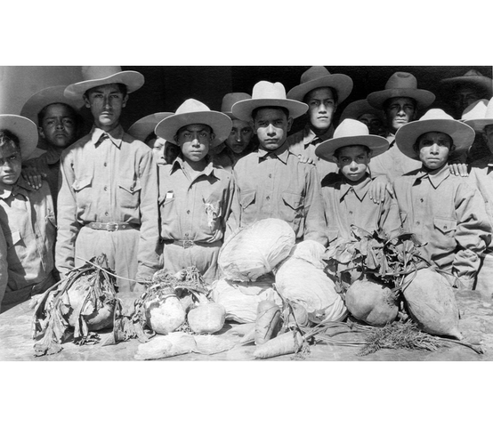 Centrales Agrícolas entre 1925 y 1932