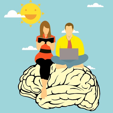 Objeto de conocimiento (Merrill)