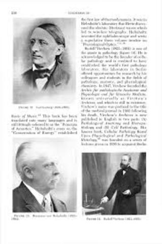 EXTENSIÓN (1855-1890)