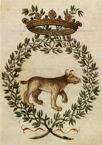 Accademia dei Lincei