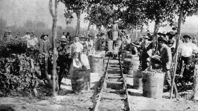 Autoempleo en áreas rurales