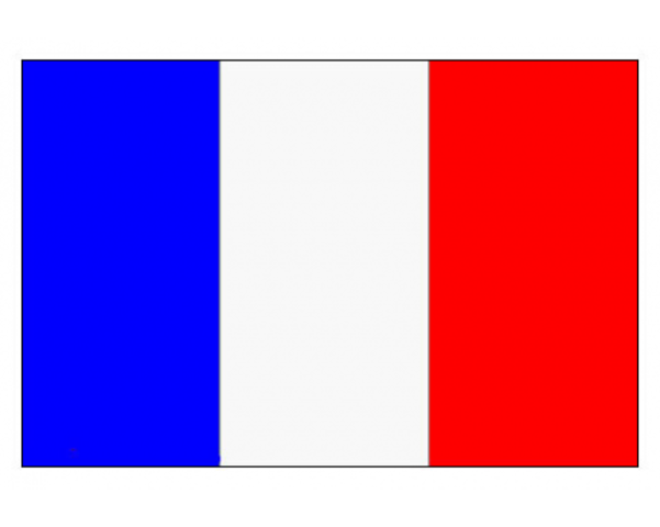 1804. FRANCIA. EL CÓDIGO DE NAPOLEÓN PRESENTA LOS LOGROS DE LA REVOLUCIÓNE. Fotografía recuperada de: https://www.francobordo.com/bandera-francia-p-6598.html