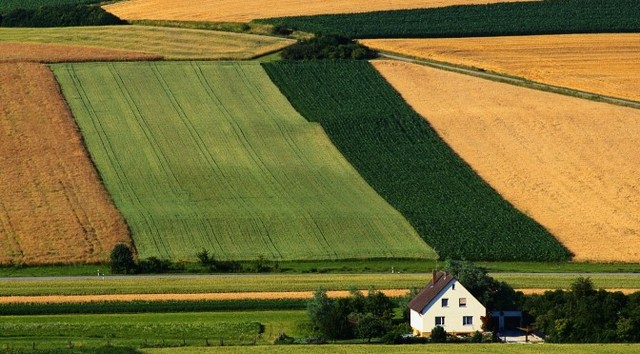 Introduction of Three-Crop Rotation