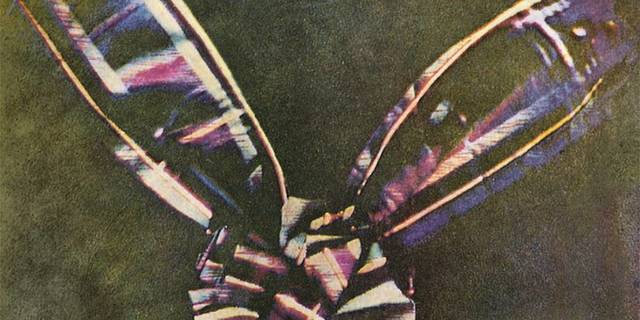 James Maxwell - Fotografía a color