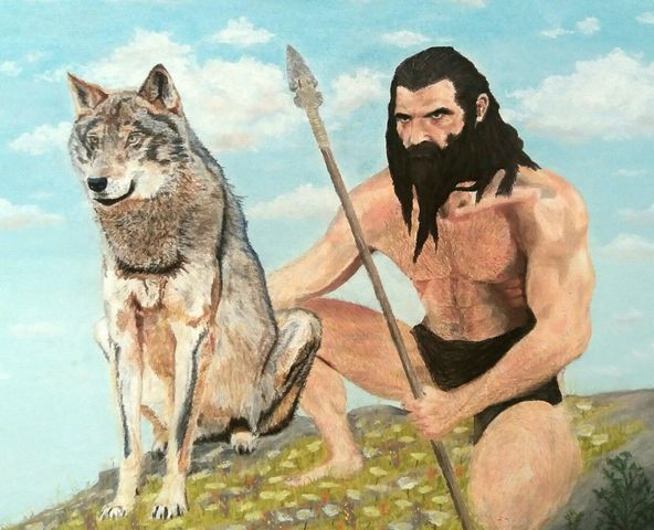 Domesticación animal