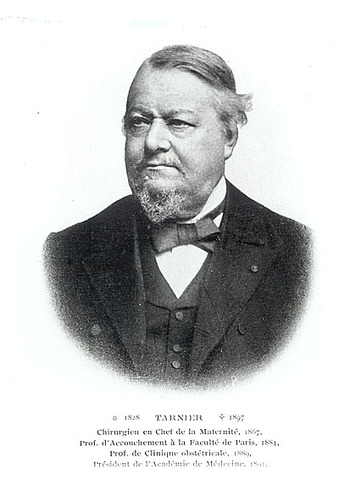 Alimentación por gavaje