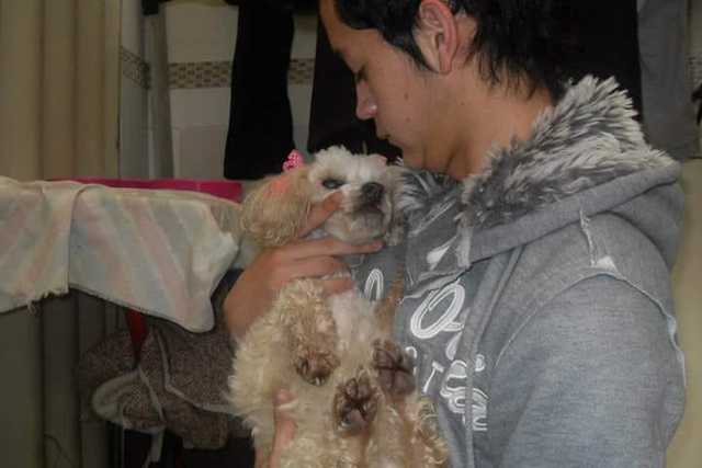 FALLECIMIENTO DE MI MASCOTA :(