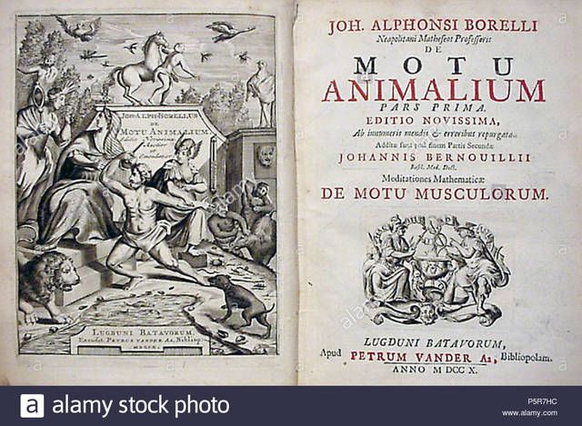 Sobre el movimiento de los animales