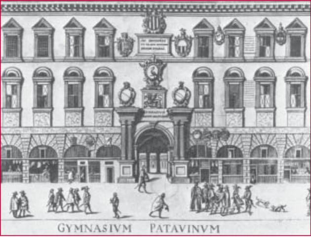 Universidad de Padua