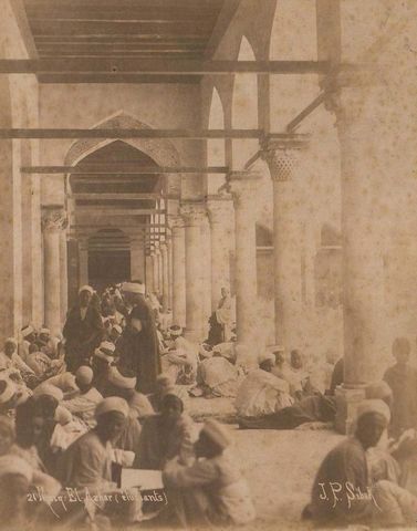 Universidad de Egipto