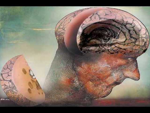 Universidad Moderna Napoleónica