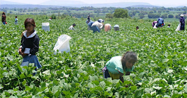 INICIOS DE LA RESPONSABILIDAD SOCIAL