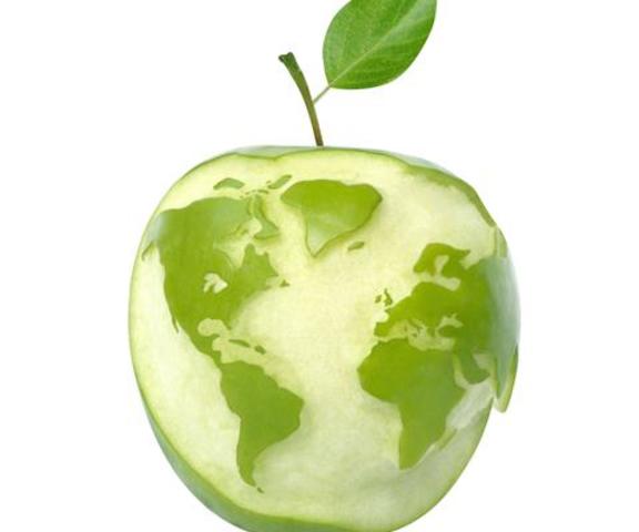 Dia Mundial de la Alimentación