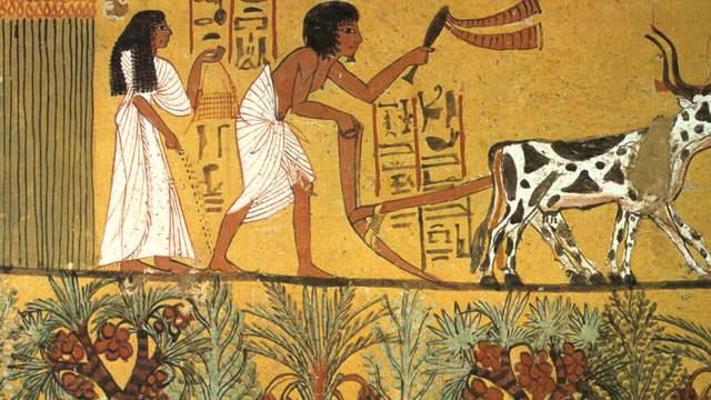 Origen de la Agricultura