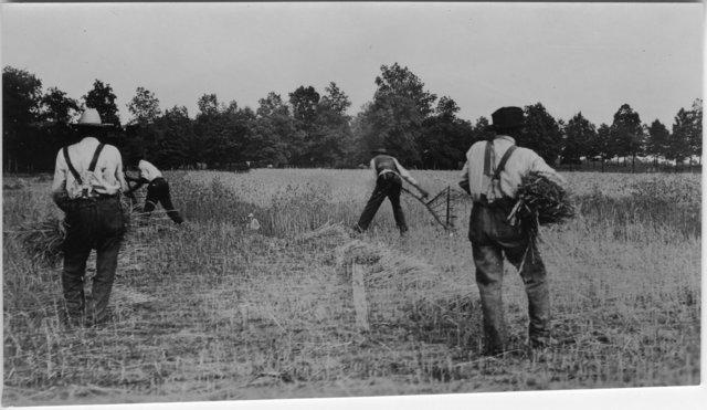 Frederick runs away from Covey