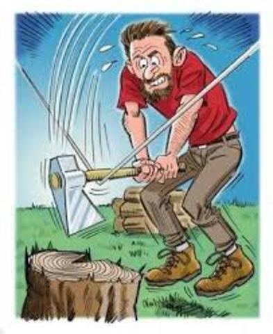 el llanto de un árbol herido