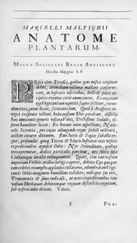 La mayor contribución de Malpighi a la ciencia