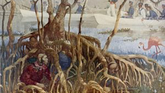 Invasion of Florida ( Seminole War )