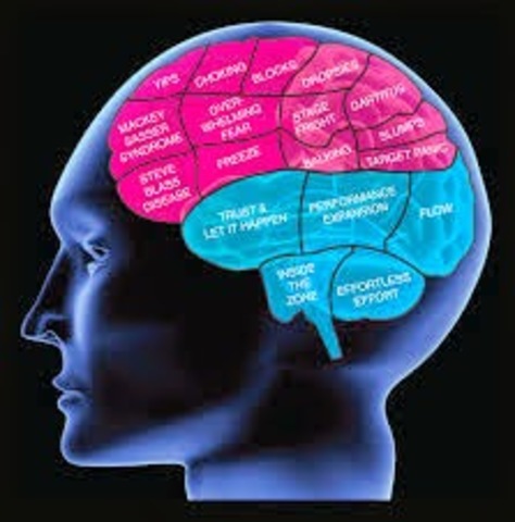 Principios de la Psicología fisiológica