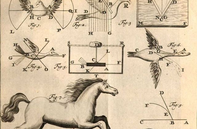 Sobre el movimiento de los animales