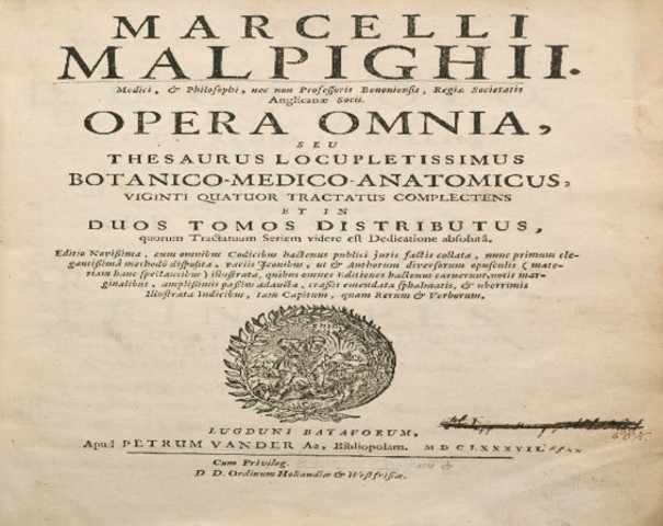 LIbro Anatomia de las plantas