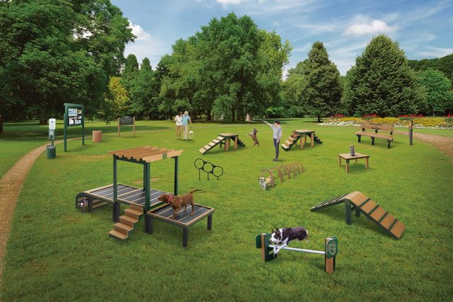 First Trip to Bark Park