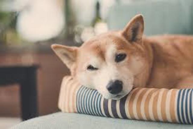 First Time staying home alone