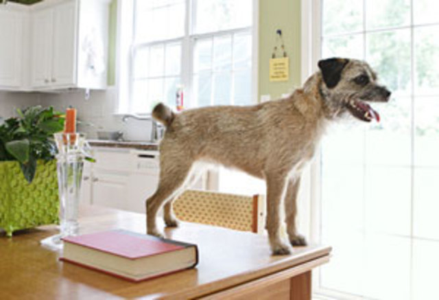 First Time getting in big trouble!