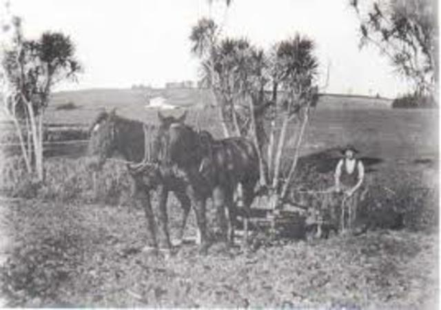 Farming in 1850s