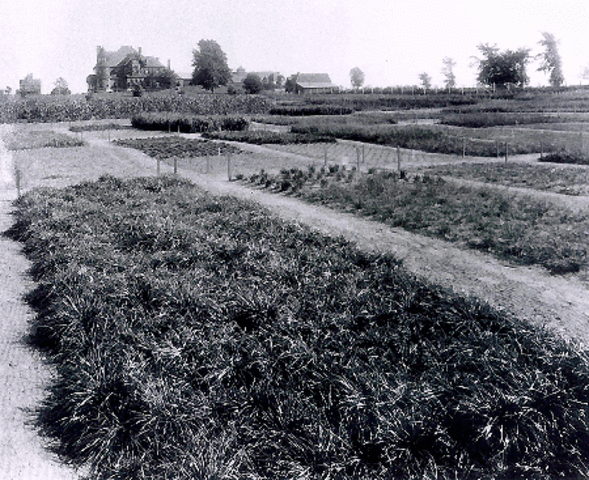 Farming in 1890