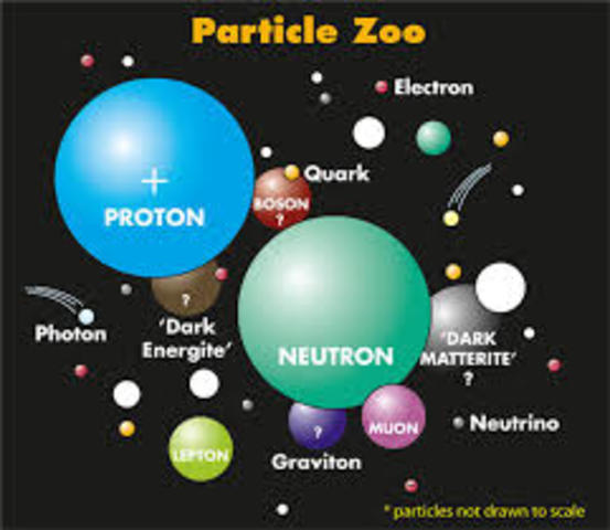 MANY MORE: THE PARTICLE ZOO