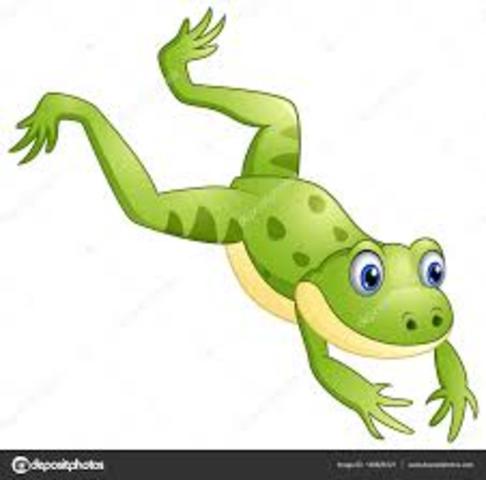 Naturaleza eléctrica del impulso nervioso