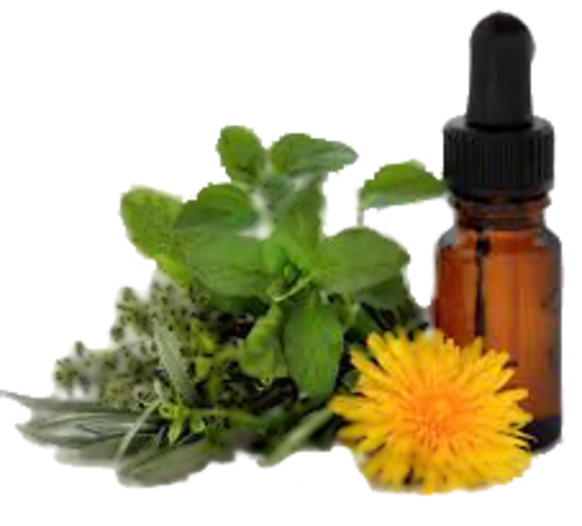 HISTORIA HOMEOPATICA