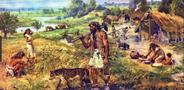 Domesticación de Animales