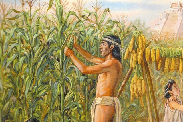 La agricultura