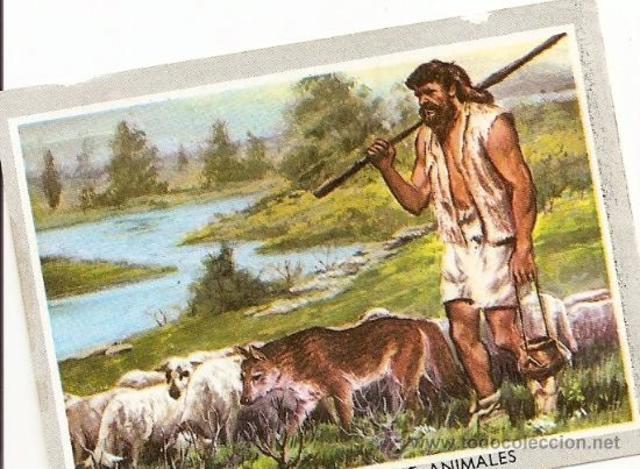 Domesticación animal