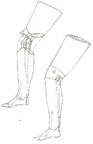 Pierna anatomica doctor Bly