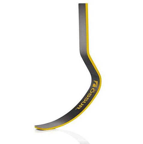 Flex Foot Cheetah blade