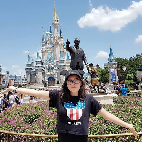 Viajé a Disney
