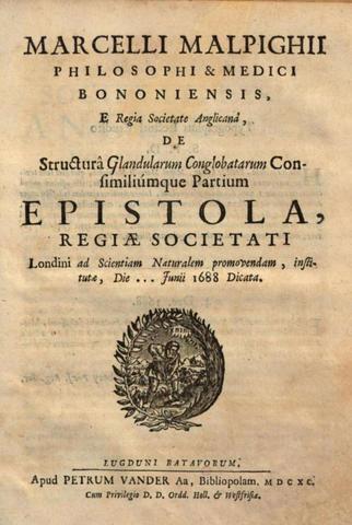 Malpighi publica su obra "De structura glandularum conglobatarum epístola"