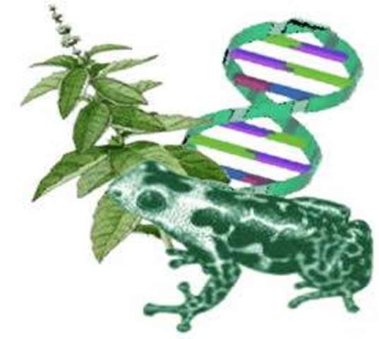 Gran aporte de Malpighi