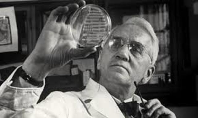 Penicilina,Alexander Fleming