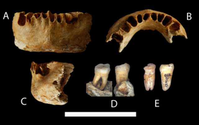 Los restos más antiguos del Homo Sapiens