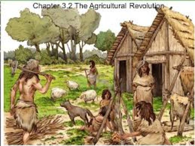 Agricultural Revolution
