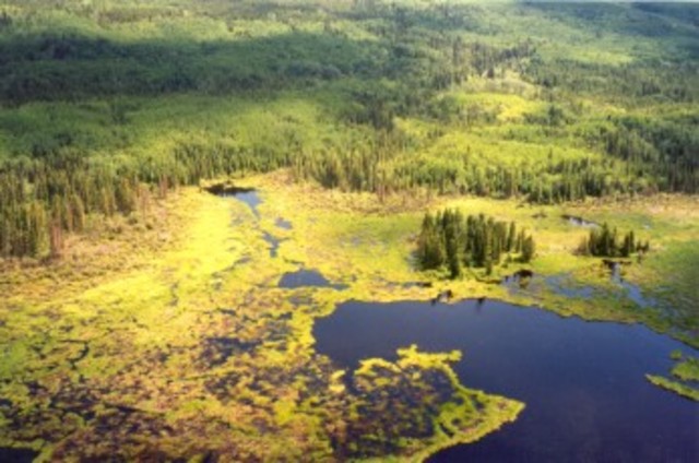 Alberta becoming a province