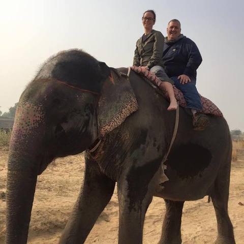 First domesticated elephants