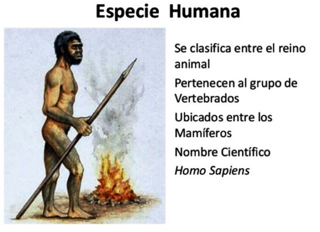 Seres humanos