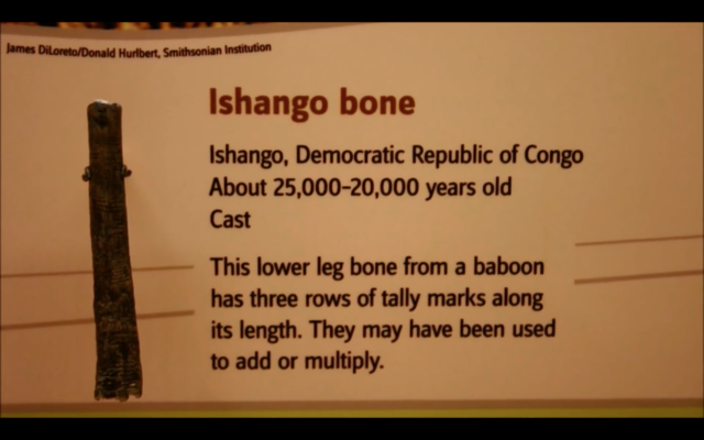 hueso africano que representa los numeros primos 11,13,17 y 19